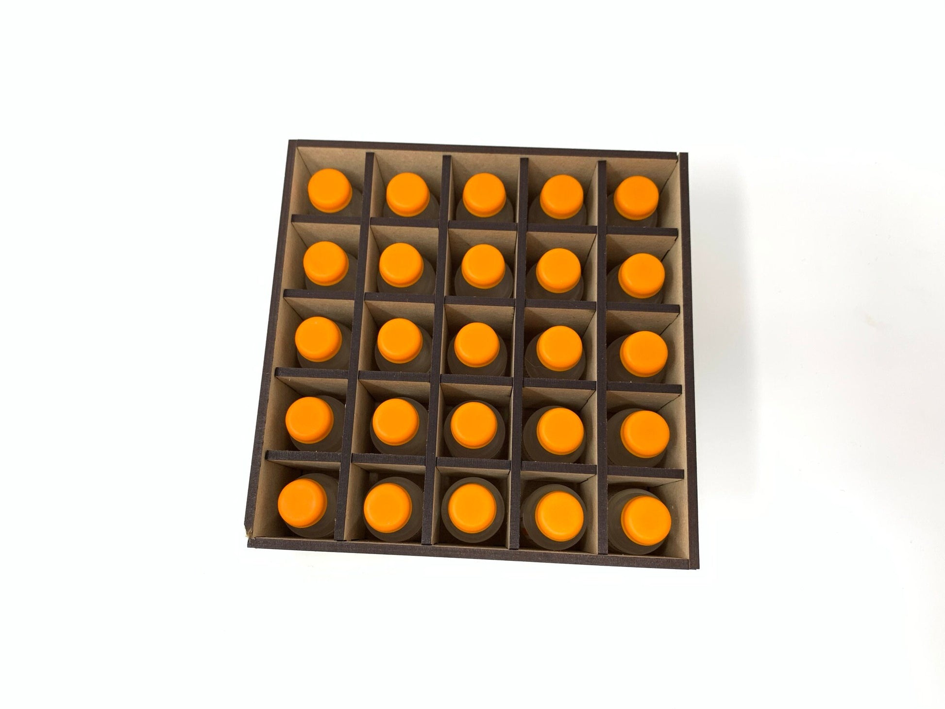 Diabetes Insulin Vial Storage Caddy | Holds Up to 25 Vials | Some Assembly Required